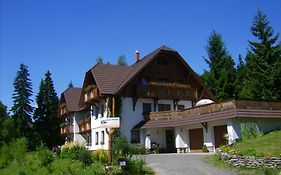 Pension Holubec